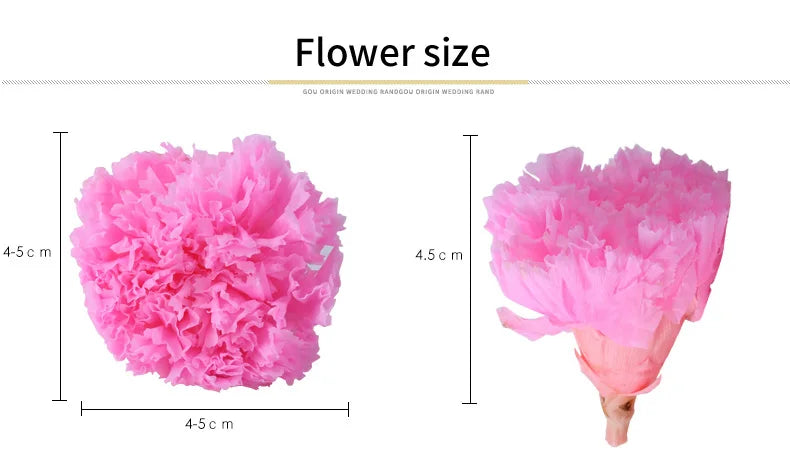 Wholesale High Quality Preserved Carnation Eternal Forever Fresh Flowers for Holiday Gift