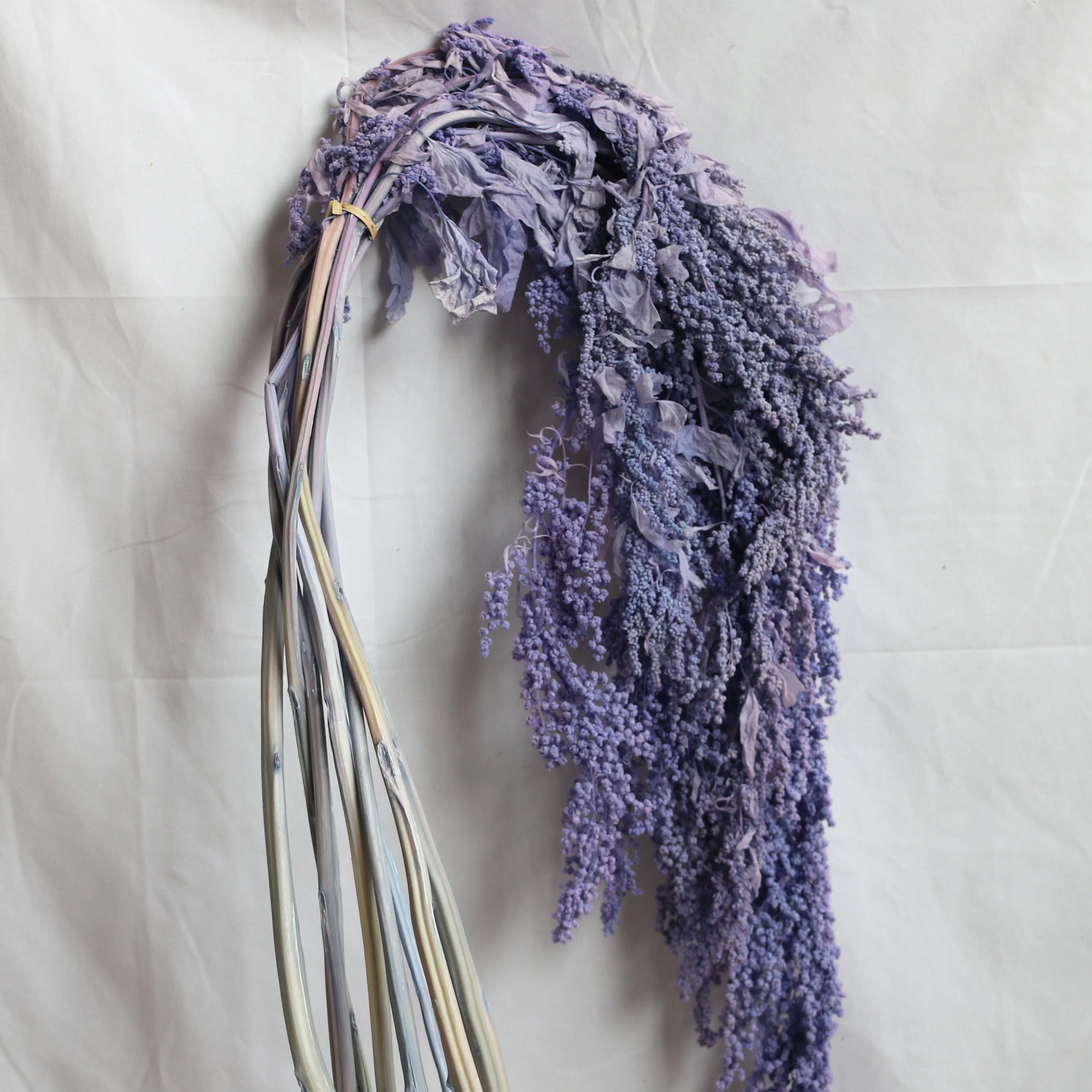Ins Hot Selling DIY Material Dried Flowers Arrangement Cheap Natural White Preserved Hanging Amaranthus For Decoration