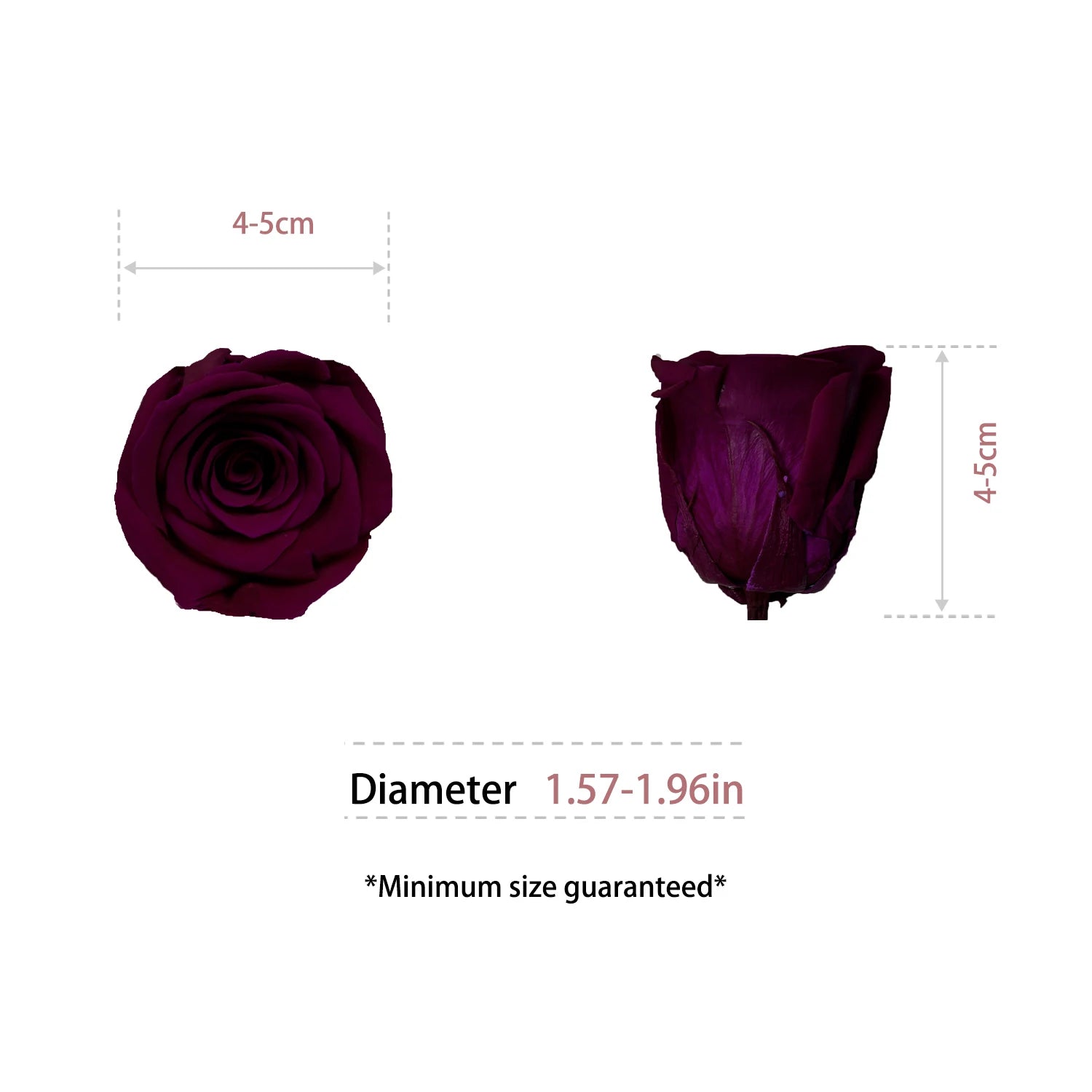 Infinity Long Lasting Dried Forever Eternal Flower Buds Preserved Roses Head for Flower Decoration