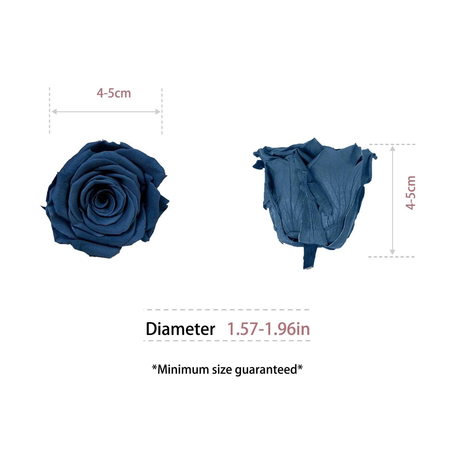 Infinity Long Lasting Dried Forever Eternal Flower Buds Preserved Roses Head for Flower Decoration