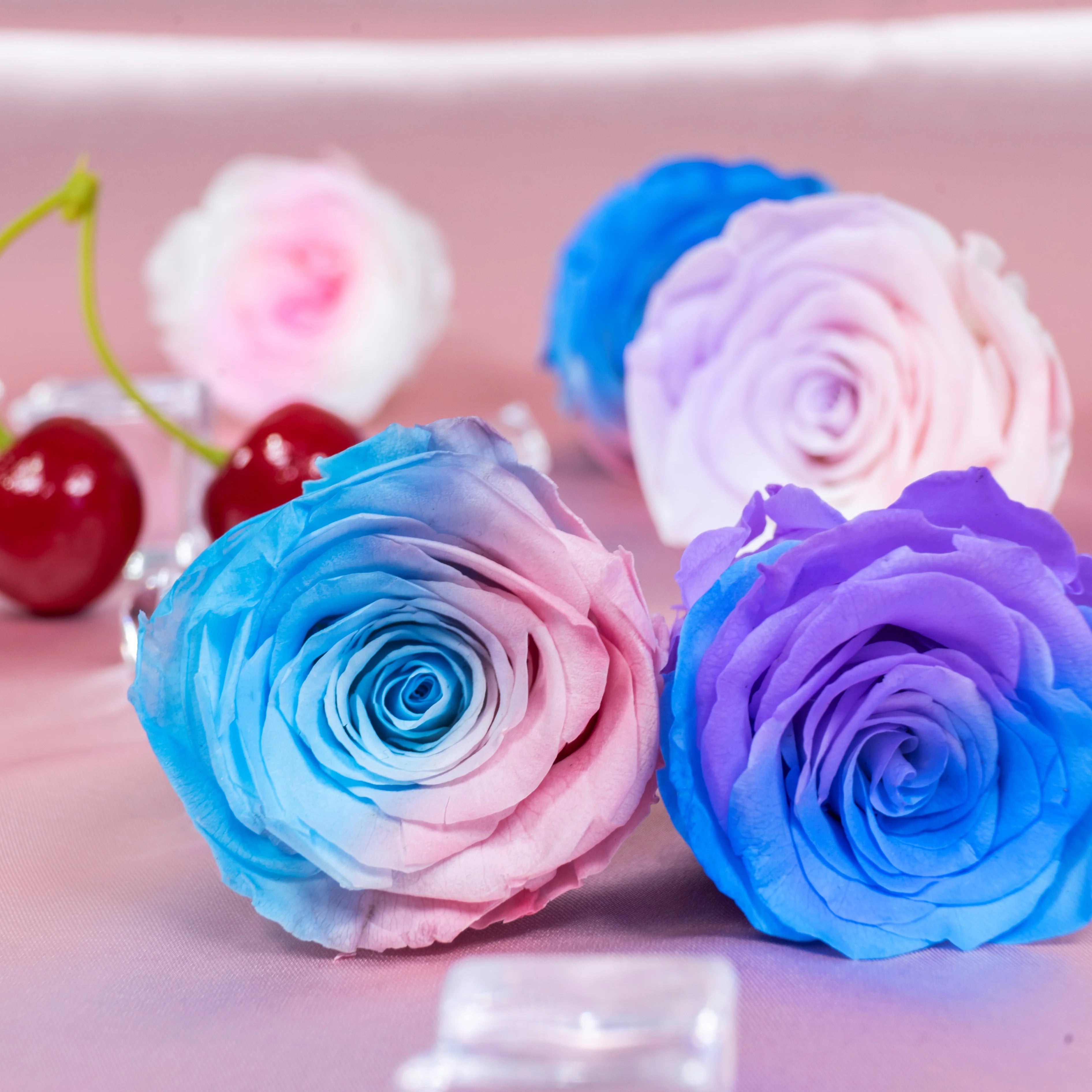 Infinity Long Lasting Dried Forever Eternal Flower Buds Preserved Roses Head for Flower Decoration