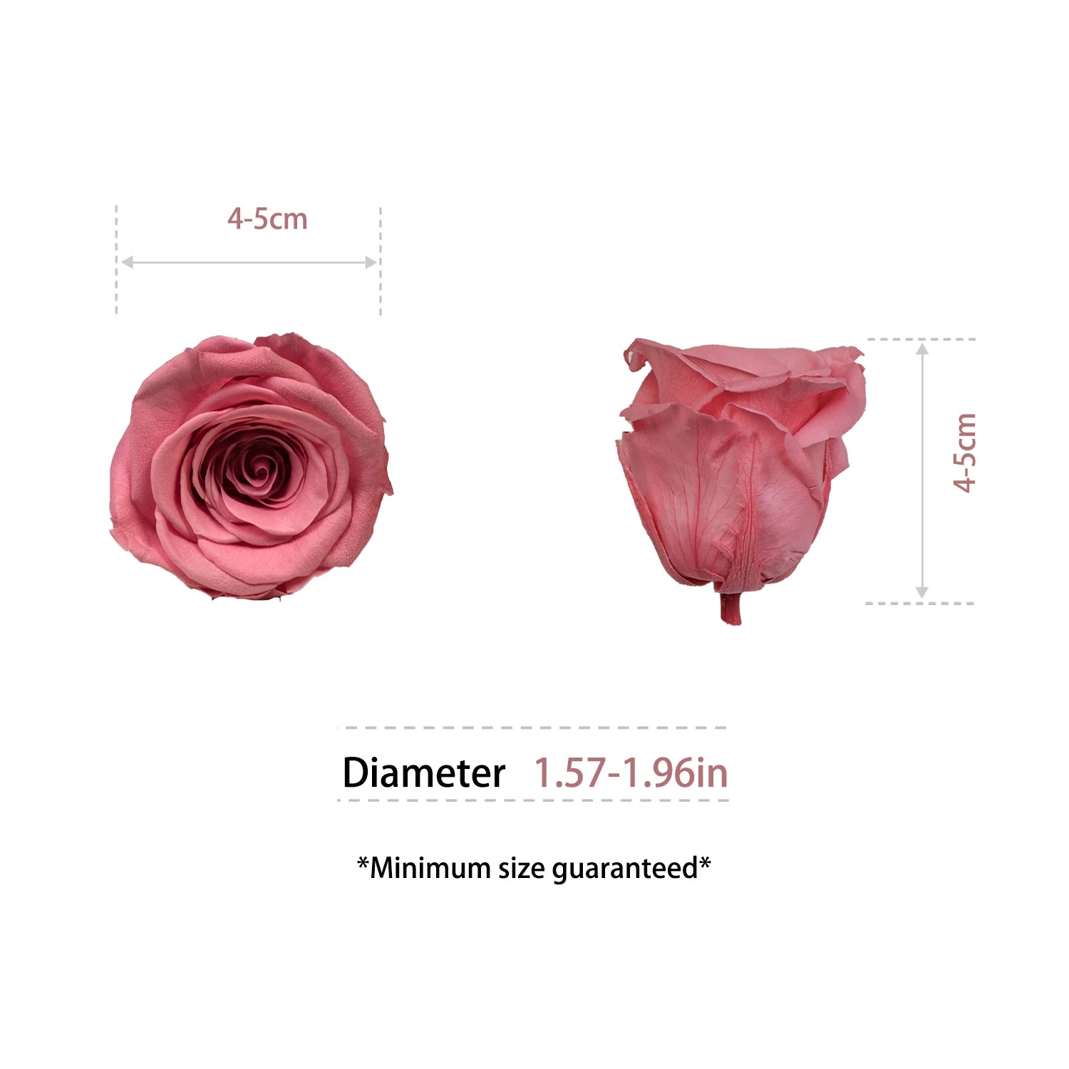 Infinity Long Lasting Dried Forever Eternal Flower Buds Preserved Roses Head for Flower Decoration