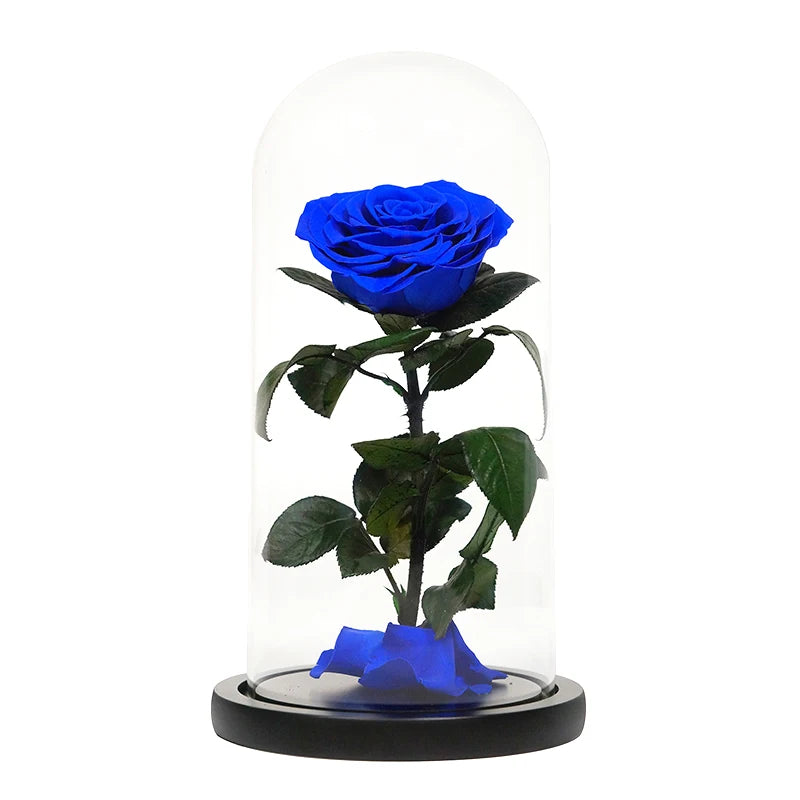 luxurious valentines day black preserved roses in glass dome gifts