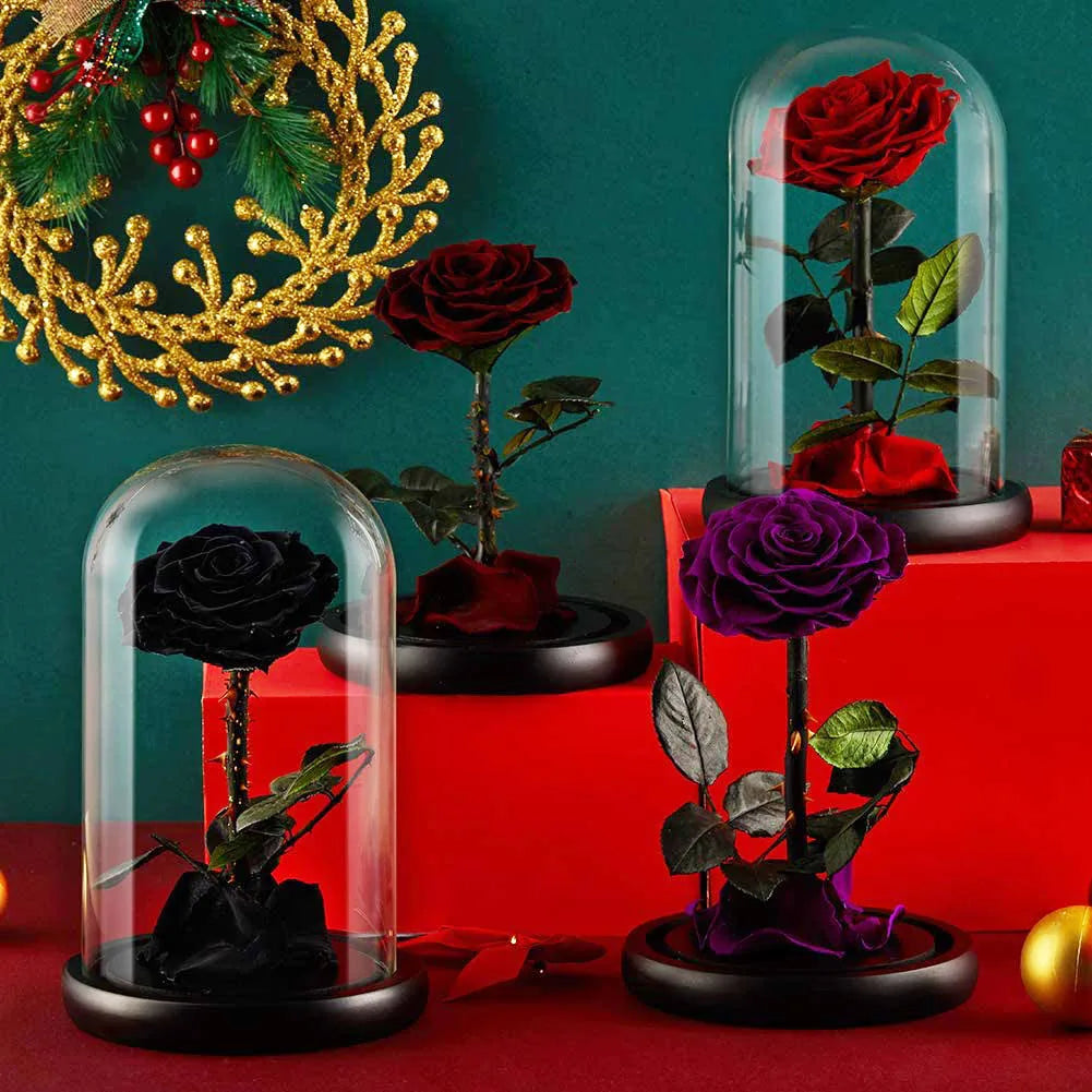 Wholesale Flor Eterna Preservada Glass Dome Black Single Preserved Beast Rose with flower long stem