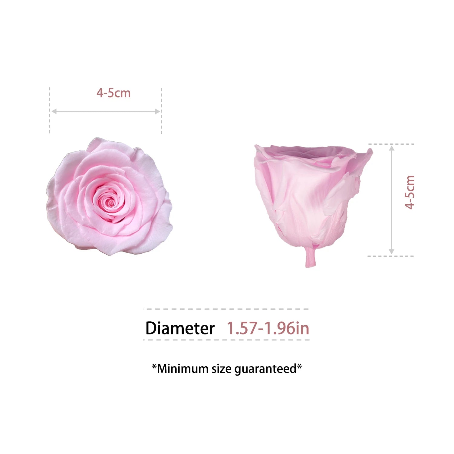 Factory Wholesale Preserved Flowers Eternity Roses Eternal Forever Roses Heads 4-5cm Preserved Rose Head
