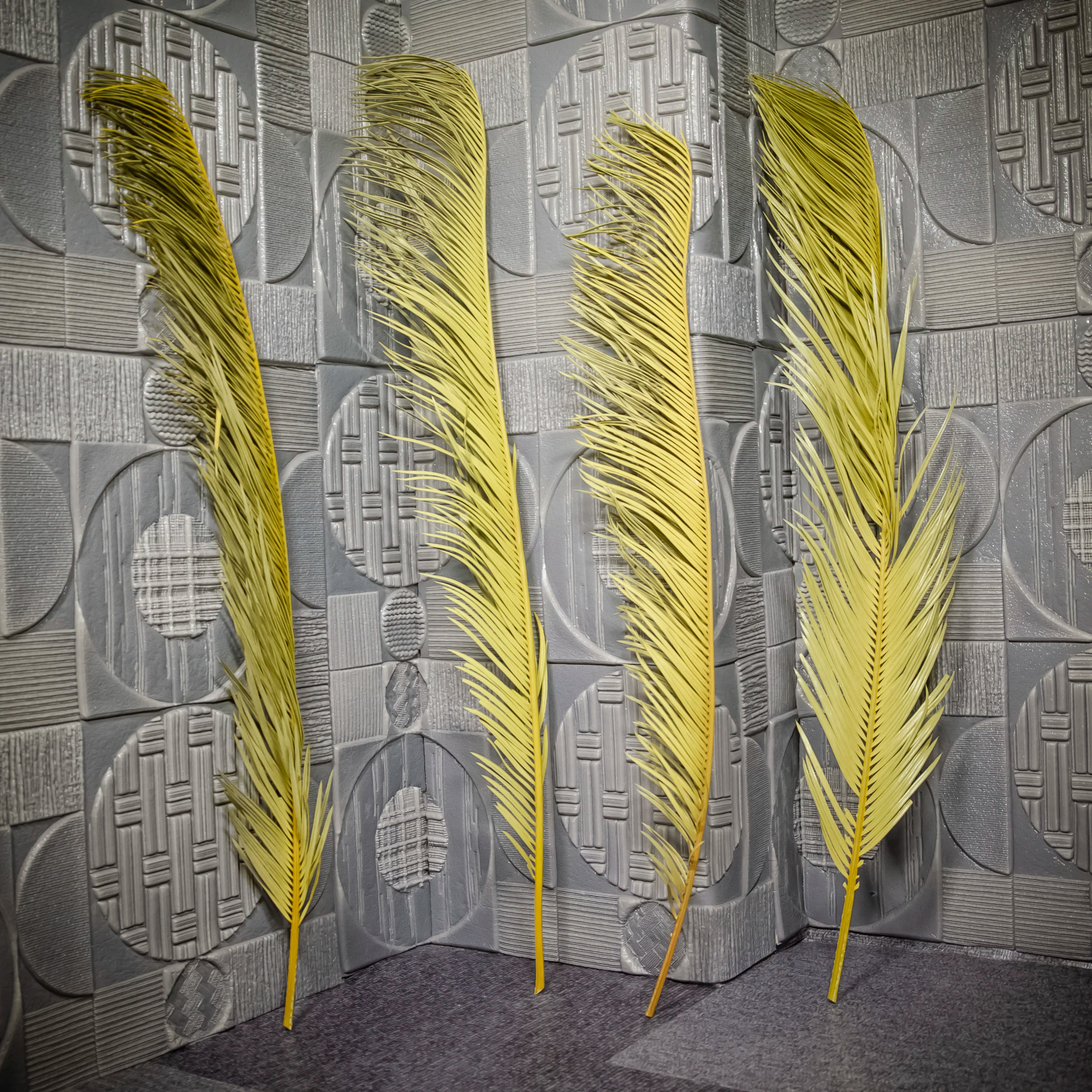 Floral Arrangement Wedding Decorative Dry Cycas Revoluta Preserved Tall Natural Leaf Dried Sago Palm Leaves