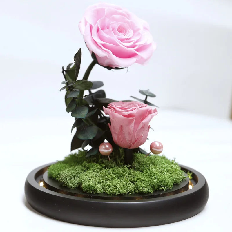 classic type rose beauty rosa bella e bestia preserved rose beauty and the beast
