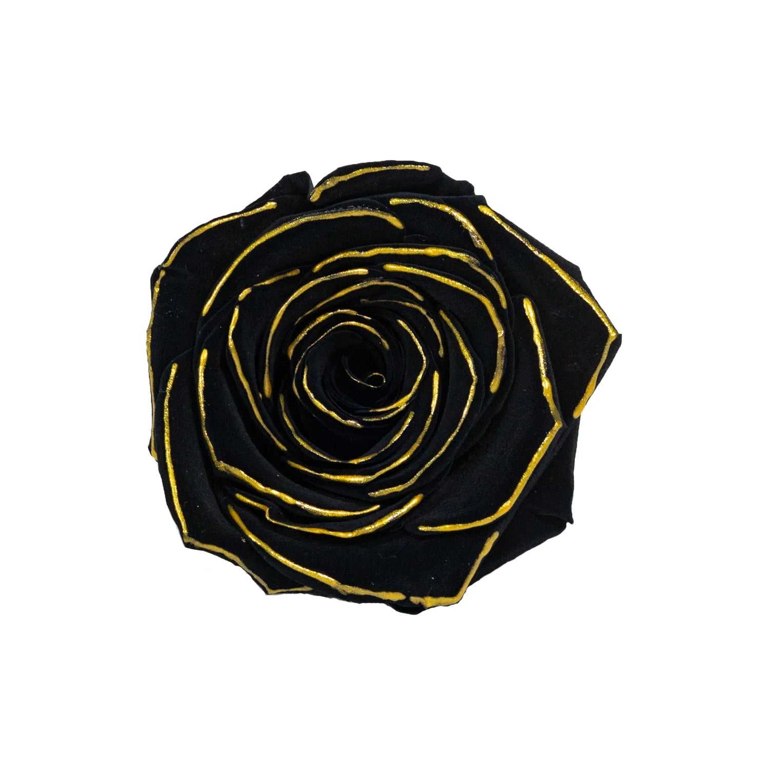 Hot Selling Everlasting Rose Flower Preserved Rose Head Silver Gold Rose Preserved Forever Flower Head
