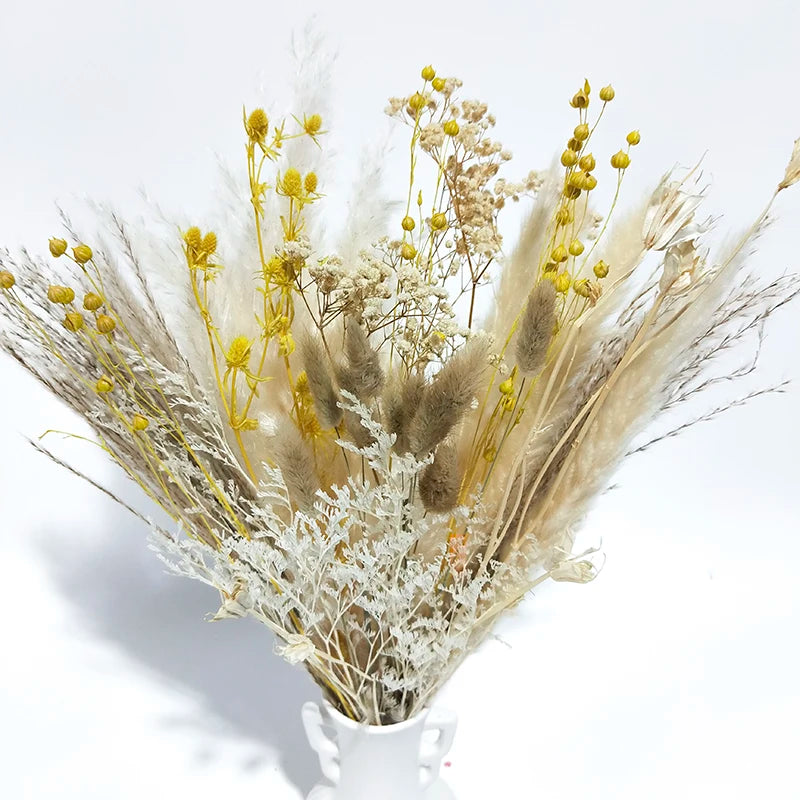 Boho Decor Bunny tails Pampass Dried Flower Arrangements Lagurus Ovatus Tall Pampas Pompas Grass Bouquet