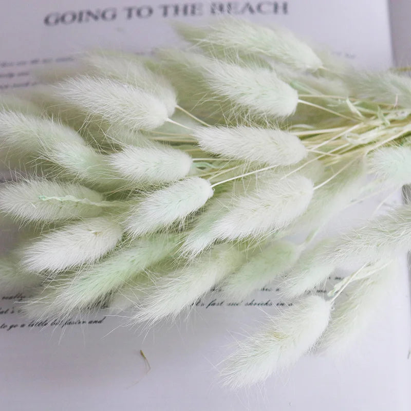 Boho Wedding Decor Bridal Bouquet Dusty Pink Dried Flowers 60 Natural Phalaris Lagurus Dried Bunny Tails