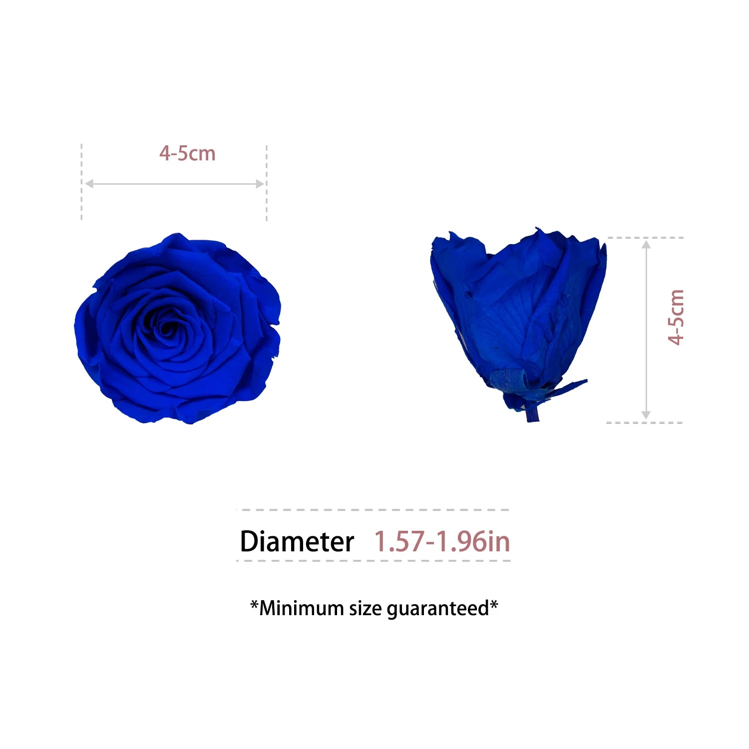 Infinity Long Lasting Dried Forever Eternal Flower Buds Preserved Roses Head for Flower Decoration