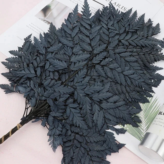 10pcs Natural Fresh Eternal Flower Preserved Fiddlehead Ferns Leaves for Wedding Dome Decoration Accessories