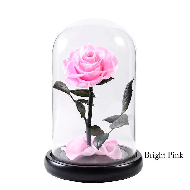 Wholesale Flor Eterna Preservada Glass Dome Black Single Preserved Beast Rose with flower long stem