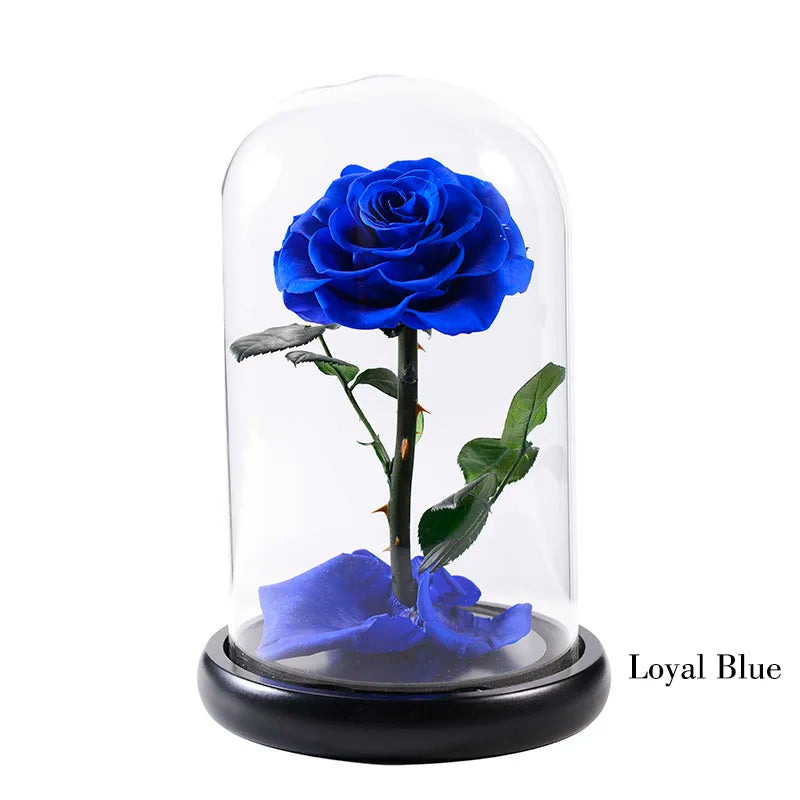 Wholesale Flor Eterna Preservada Glass Dome Black Single Preserved Beast Rose with flower long stem