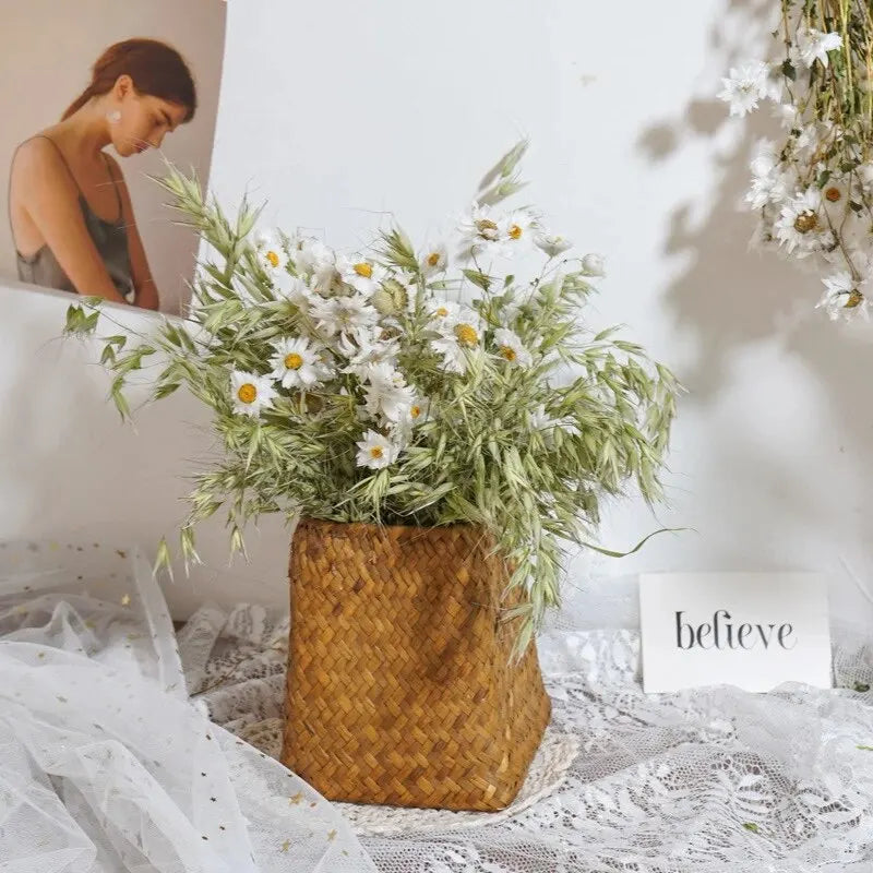 Fall Decor Natural Dried Flowers Floral Arrangement Herb Bunches Milky Oats Dried Avena Oat Flowers