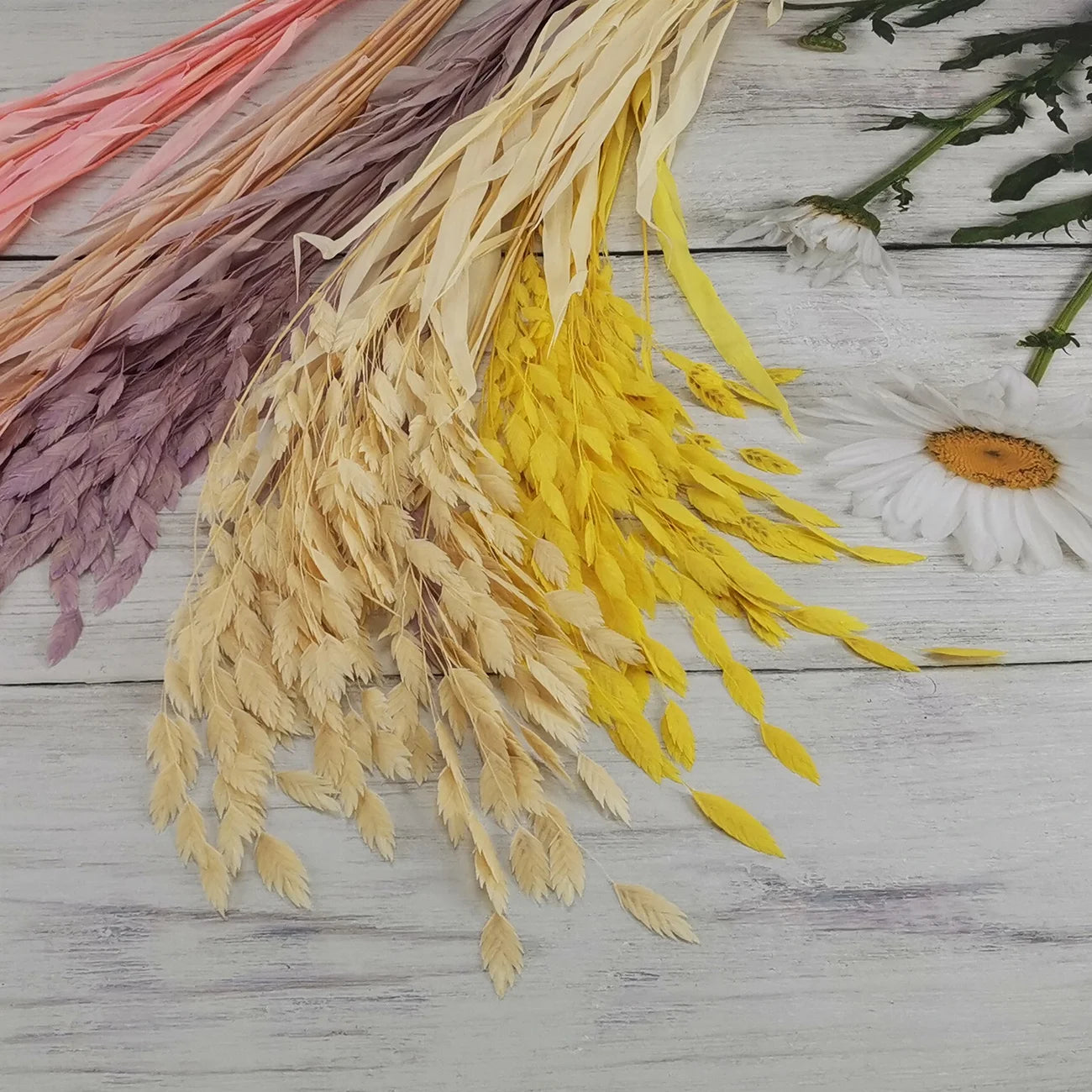Natural Decorative Dried Flowers Bouquets Grass Floral Northern Sea Oats Preserved Chasmanthium Latifolium