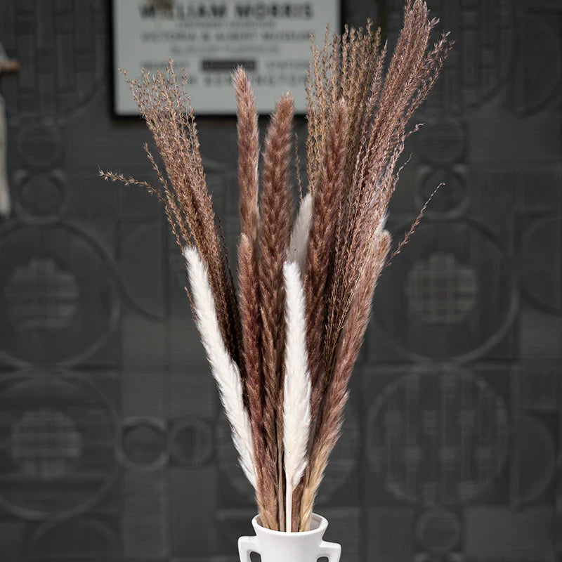 Dry Real Natural Plant Home Wedding Bridal Decor Flower Bunches Arrangements Preserved Dried Flowers Bouquet