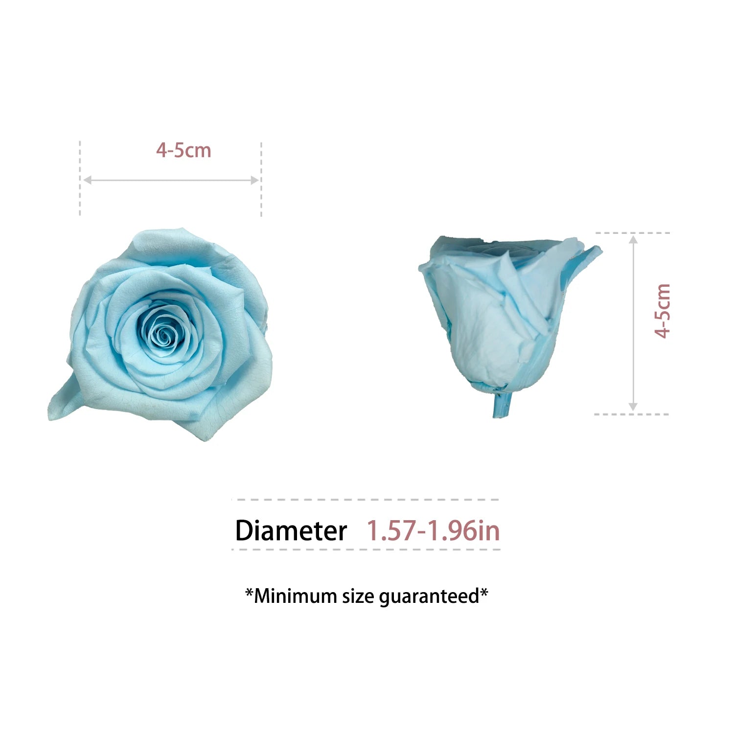 Infinity Long Lasting Dried Forever Eternal Flower Buds Preserved Roses Head for Flower Decoration