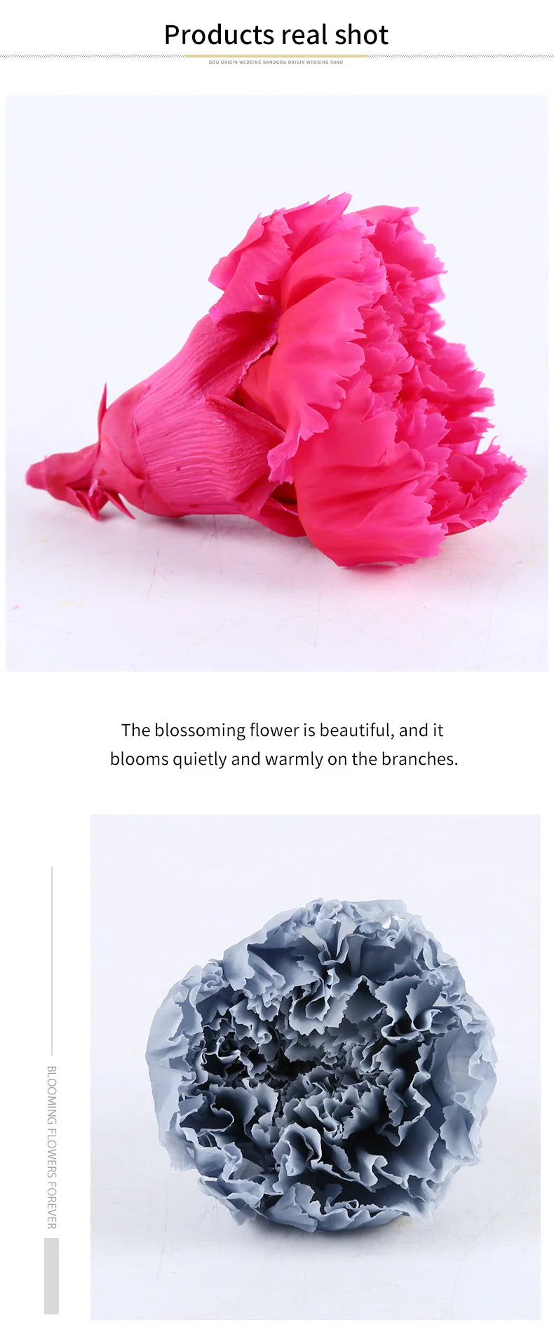 Wholesale High Quality Preserved Carnation Eternal Forever Fresh Flowers for Holiday Gift