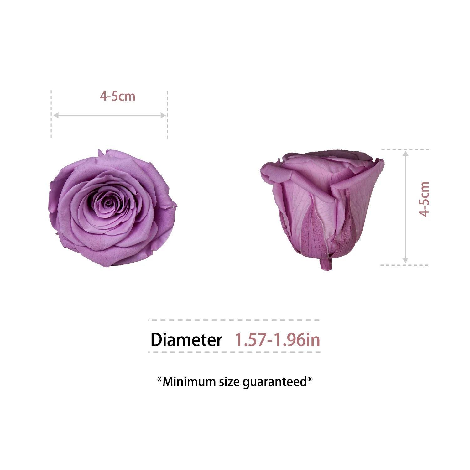 Infinity Long Lasting Dried Forever Eternal Flower Buds Preserved Roses Head for Flower Decoration