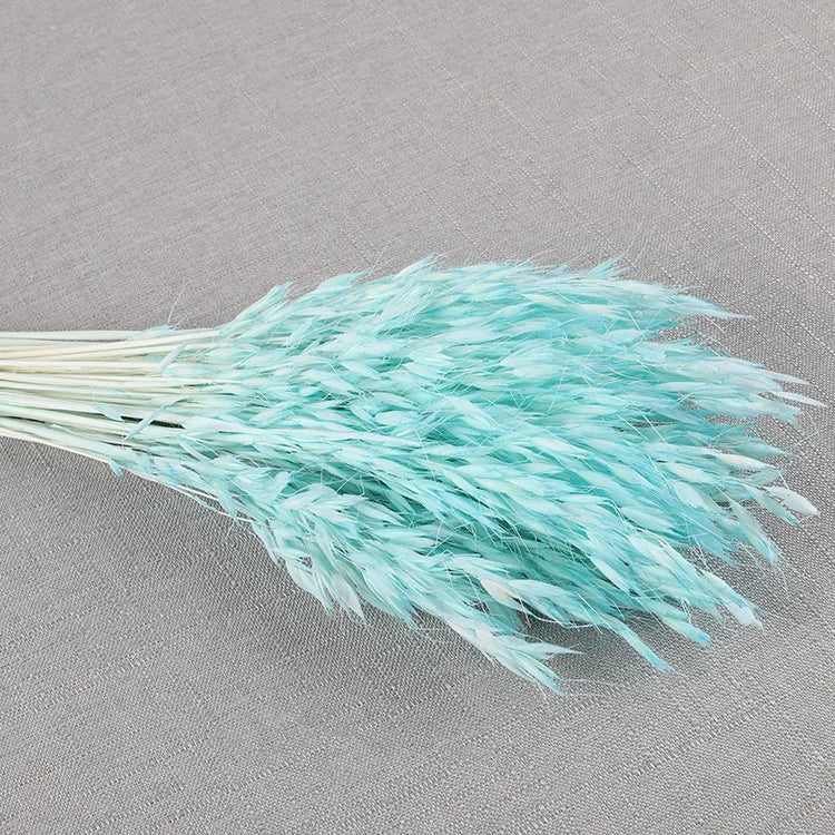 Factory Decorative Flowers White Avena Bunch Head Dried Oats For Home Wedding Decor