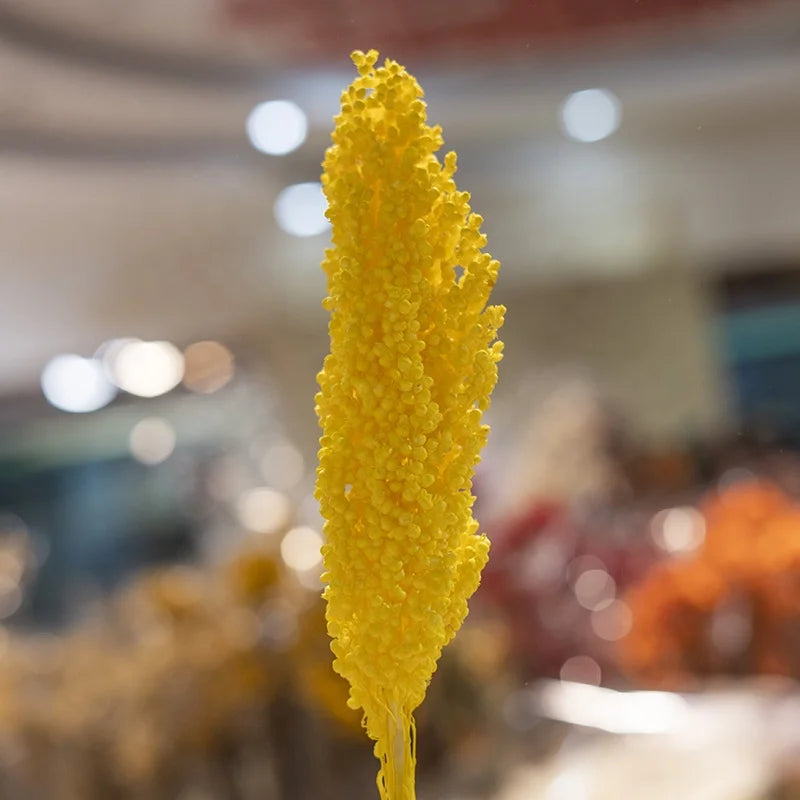 Decorative flowers Arrangement Real Natural Dried Broom Corn Dried Grains Sprays Bleached Sorghum Flowers