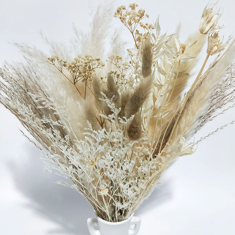 Boho Decor Bunny tails Pampass Dried Flower Arrangements Lagurus Ovatus Tall Pampas Pompas Grass Bouquet