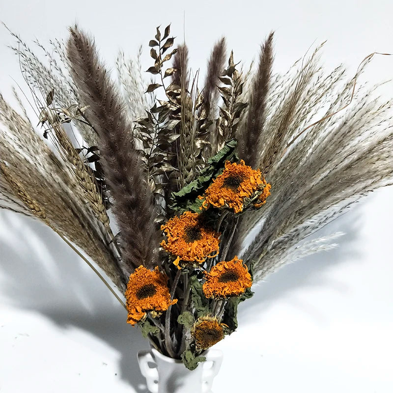 Boho Decor Bunny tails Pampass Dried Flower Arrangements Lagurus Ovatus Tall Pampas Pompas Grass Bouquet