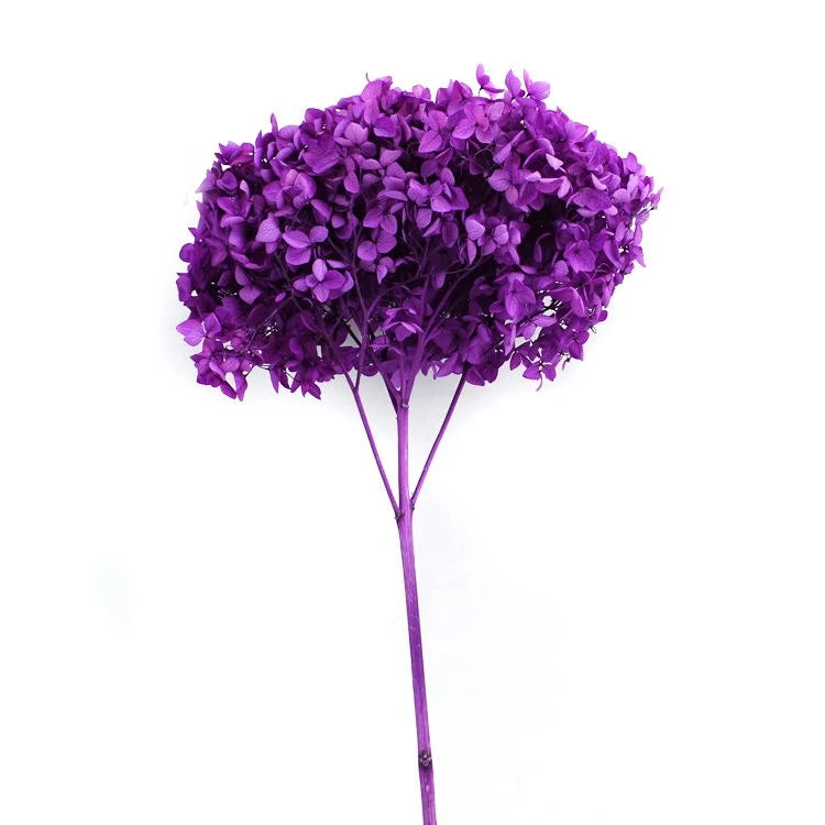 wholesale real touch hydrangea bouquet flower heads hortensias bush purple dried preserved hydrangea
