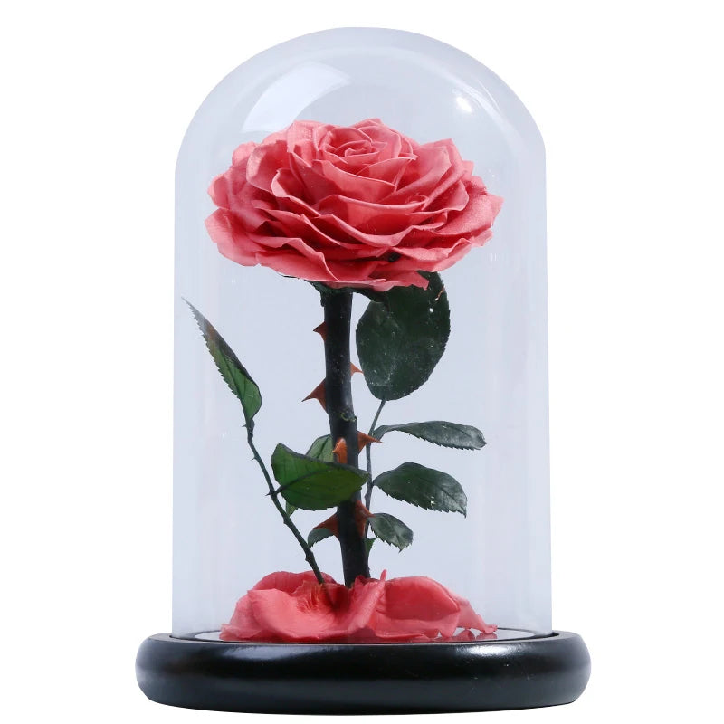 A grade beautiful enchanted preserved flowers in glass princekin festival gift