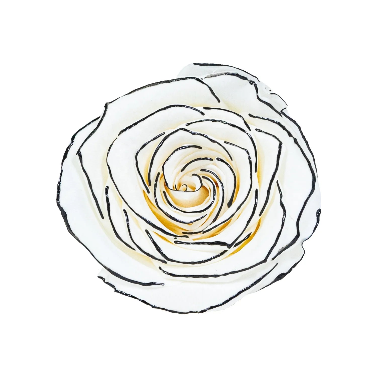 Hot Selling Everlasting Rose Flower Preserved Rose Head Silver Gold Rose Preserved Forever Flower Head