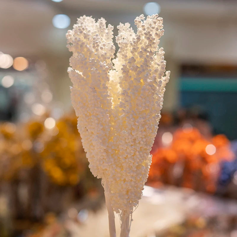 Decorative flowers Arrangement Real Natural Dried Broom Corn Dried Grains Sprays Bleached Sorghum Flowers