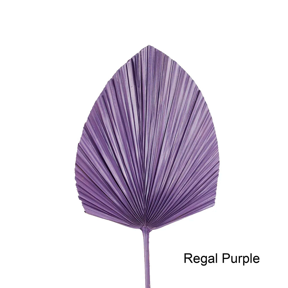 Wholesale Real Natural Blue Palm Spears Preserved Arrow Foliage Stabilized Plants Dried Palm Leaves