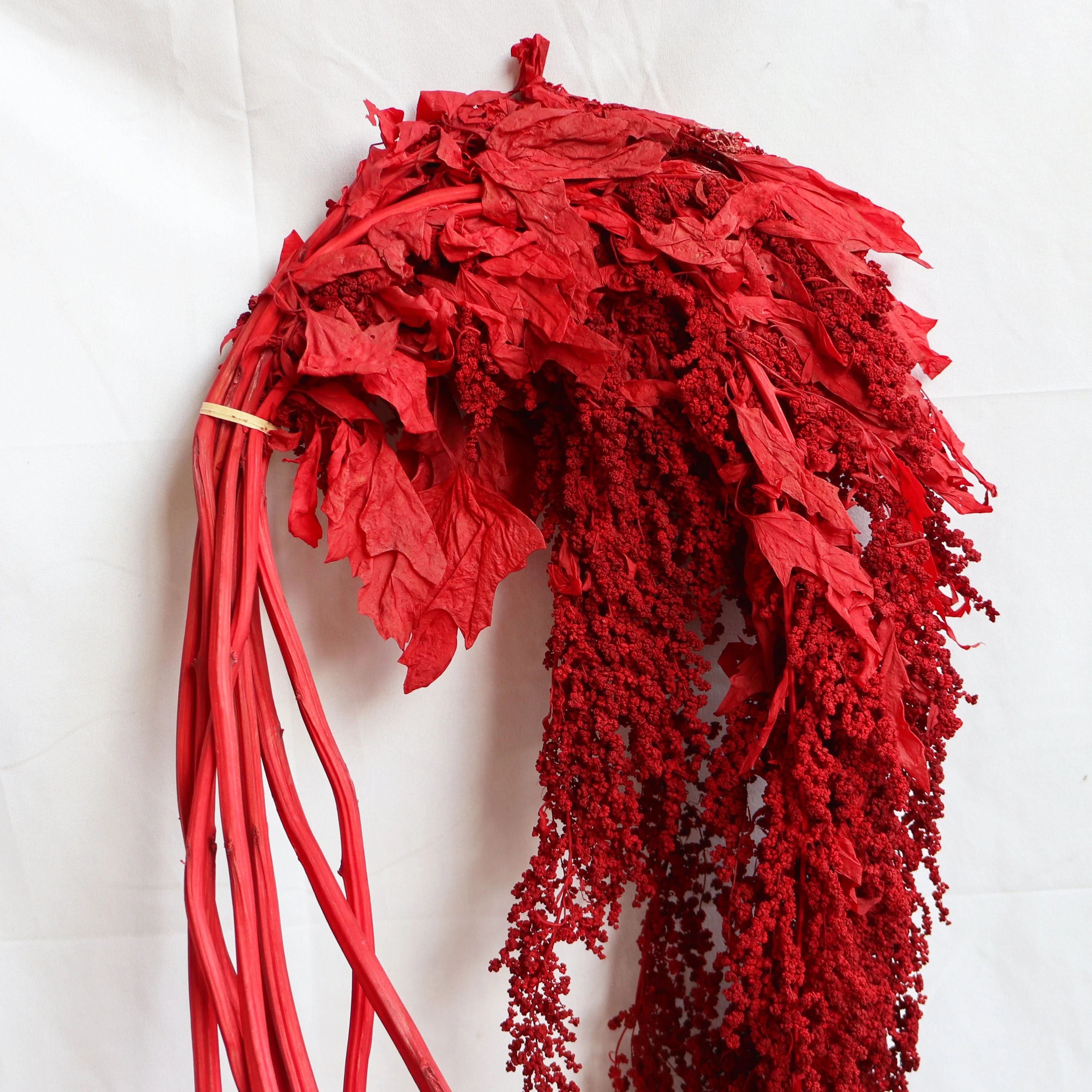 Factory Direct Price Decorative Dried Flowers Real Long Lasting Red Hanging Amaranthus for Wedding Bouquet