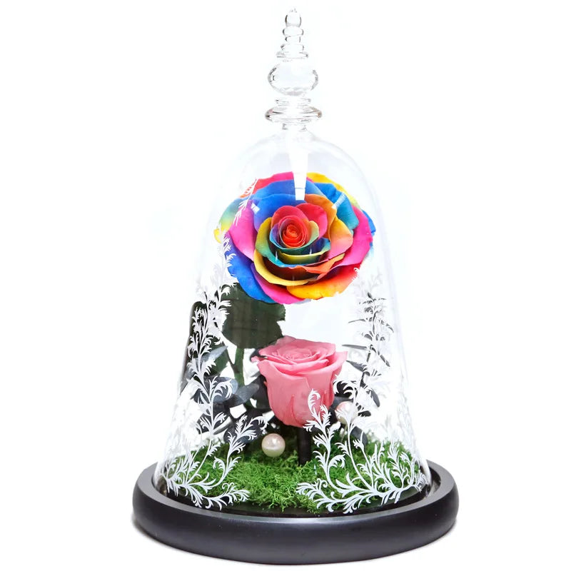 classic type rose beauty rosa bella e bestia preserved rose beauty and the beast