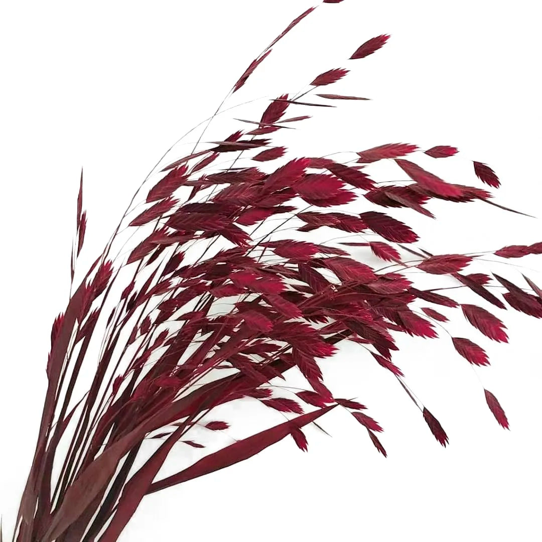 Natural Decorative Dried Flowers Bouquets Grass Floral Northern Sea Oats Preserved Chasmanthium Latifolium