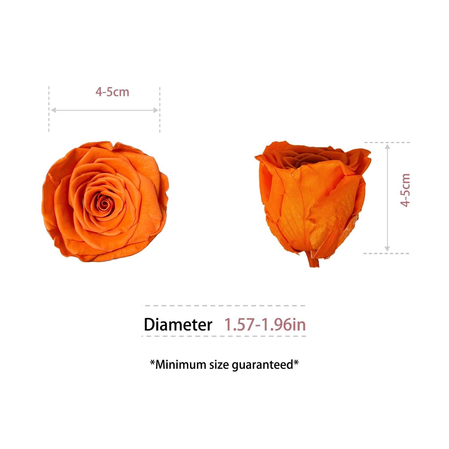 Infinity Long Lasting Dried Forever Eternal Flower Buds Preserved Roses Head for Flower Decoration