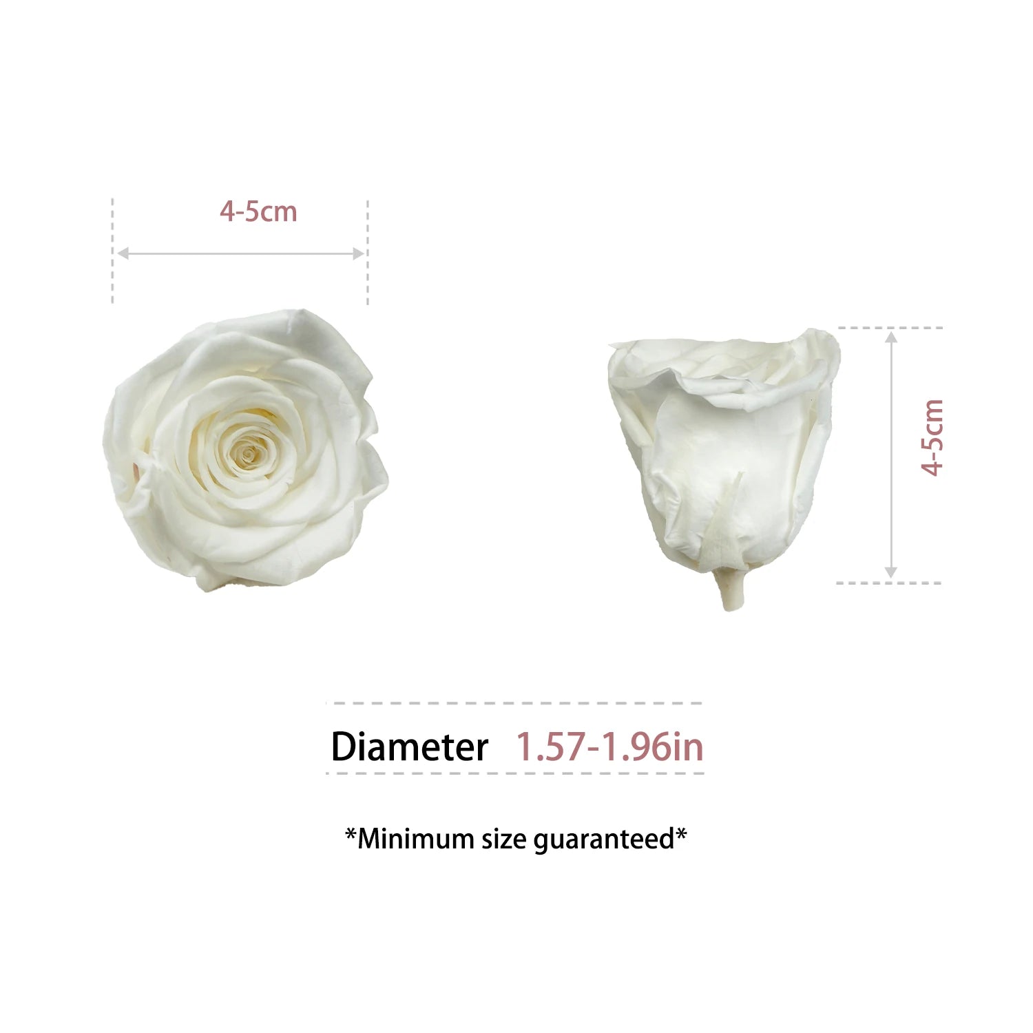 Factory Wholesale Preserved Flowers Eternity Roses Eternal Forever Roses Heads 4-5cm Preserved Rose Head