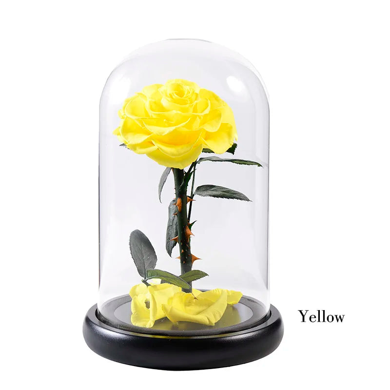 Wholesale Flor Eterna Preservada Glass Dome Black Single Preserved Beast Rose with flower long stem