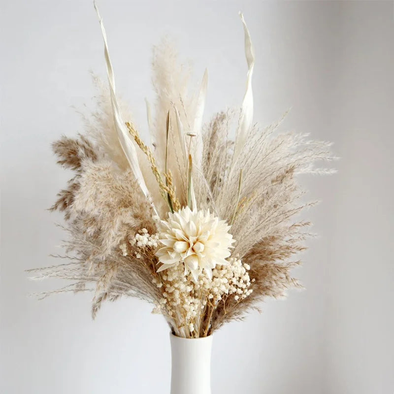 Boho Decor Bunny tails Pampass Dried Flower Arrangements Lagurus Ovatus Tall Pampas Pompas Grass Bouquet