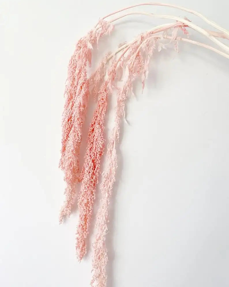 Factory Direct Price Decorative Dried Flowers Real Long Lasting Red Hanging Amaranthus for Wedding Bouquet
