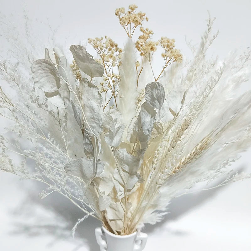 Boho Decor Bunny tails Pampass Dried Flower Arrangements Lagurus Ovatus Tall Pampas Pompas Grass Bouquet