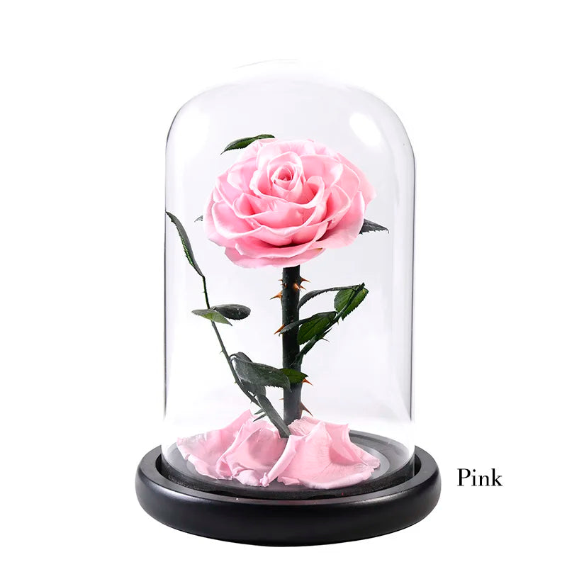 Wholesale Flor Eterna Preservada Glass Dome Black Single Preserved Beast Rose with flower long stem