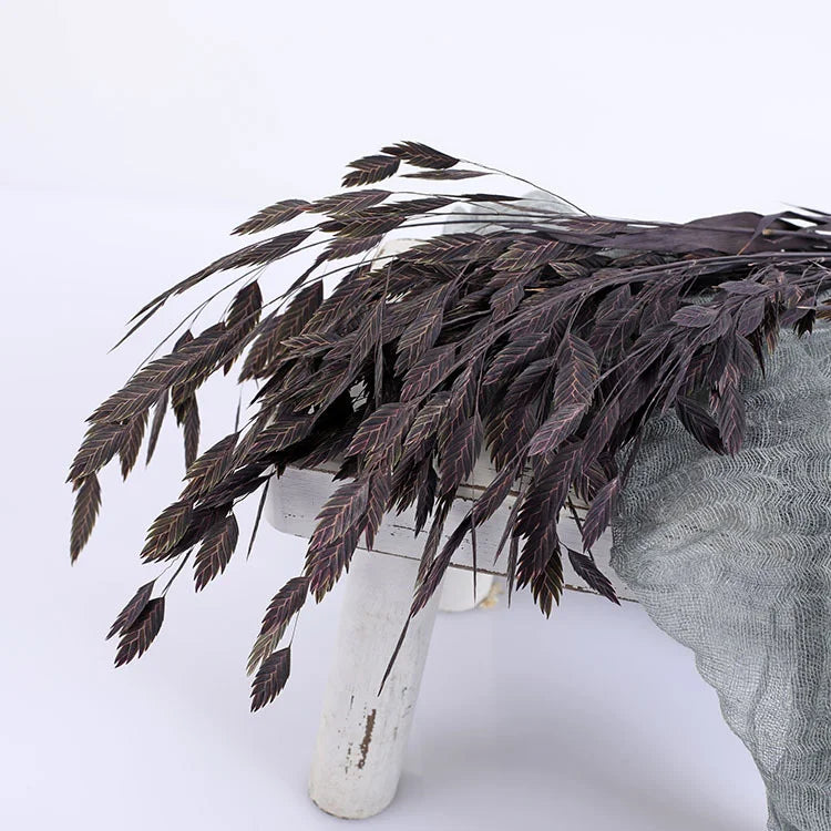 Natural Decorative Dried Flowers Bouquets Grass Floral Northern Sea Oats Preserved Chasmanthium Latifolium