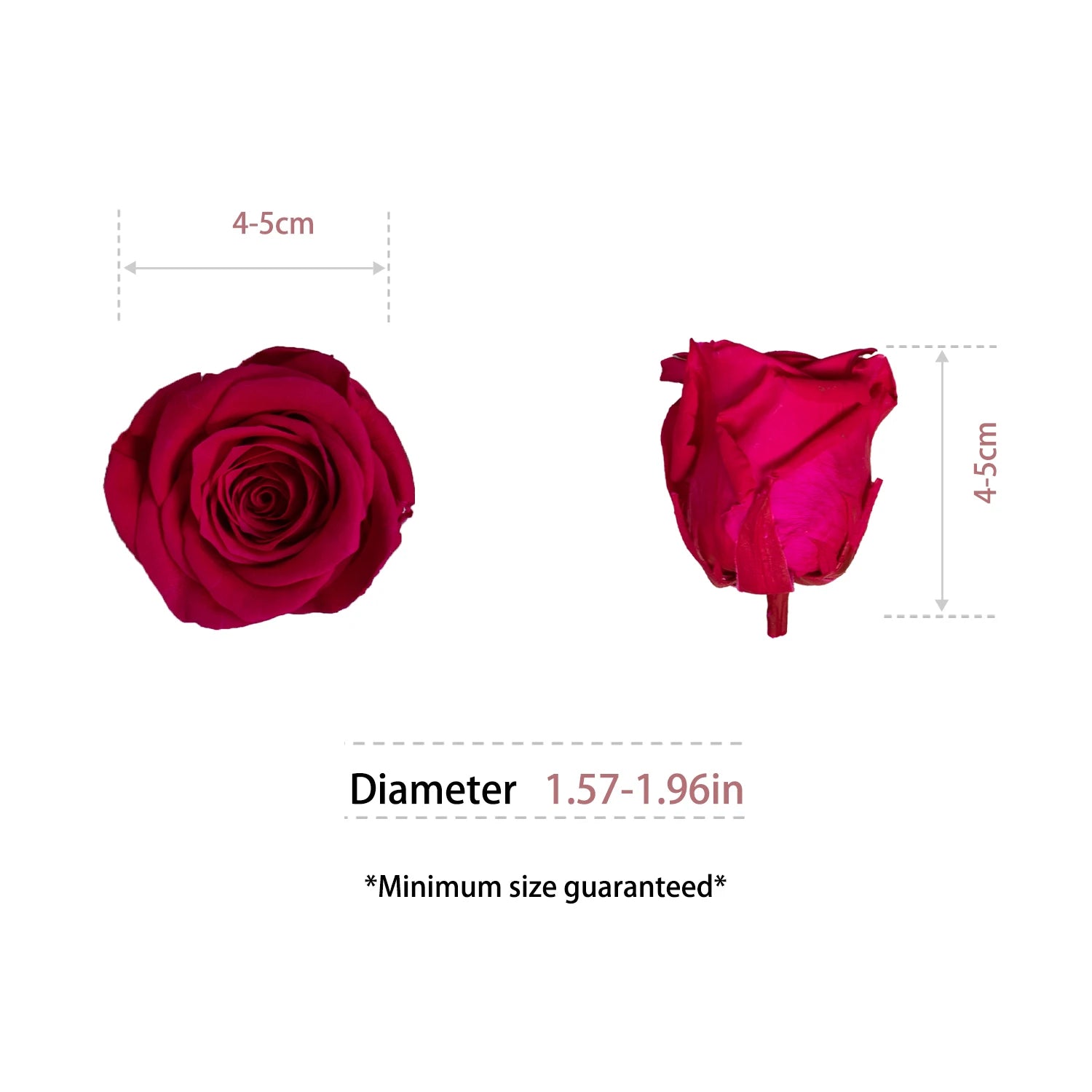 Factory Wholesale Preserved Flowers Eternity Roses Eternal Forever Roses Heads 4-5cm Preserved Rose Head