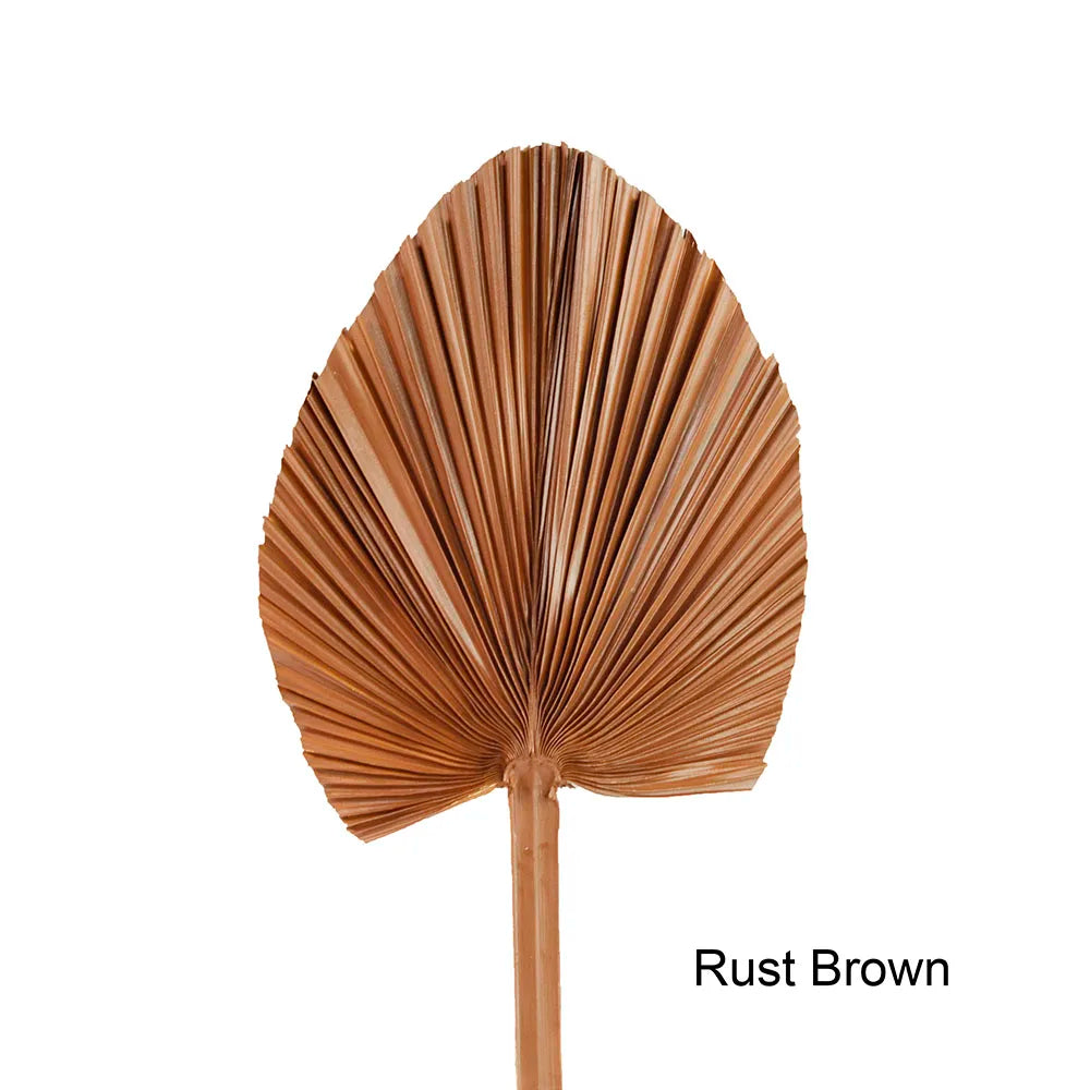Wholesale Real Natural Blue Palm Spears Preserved Arrow Foliage Stabilized Plants Dried Palm Leaves