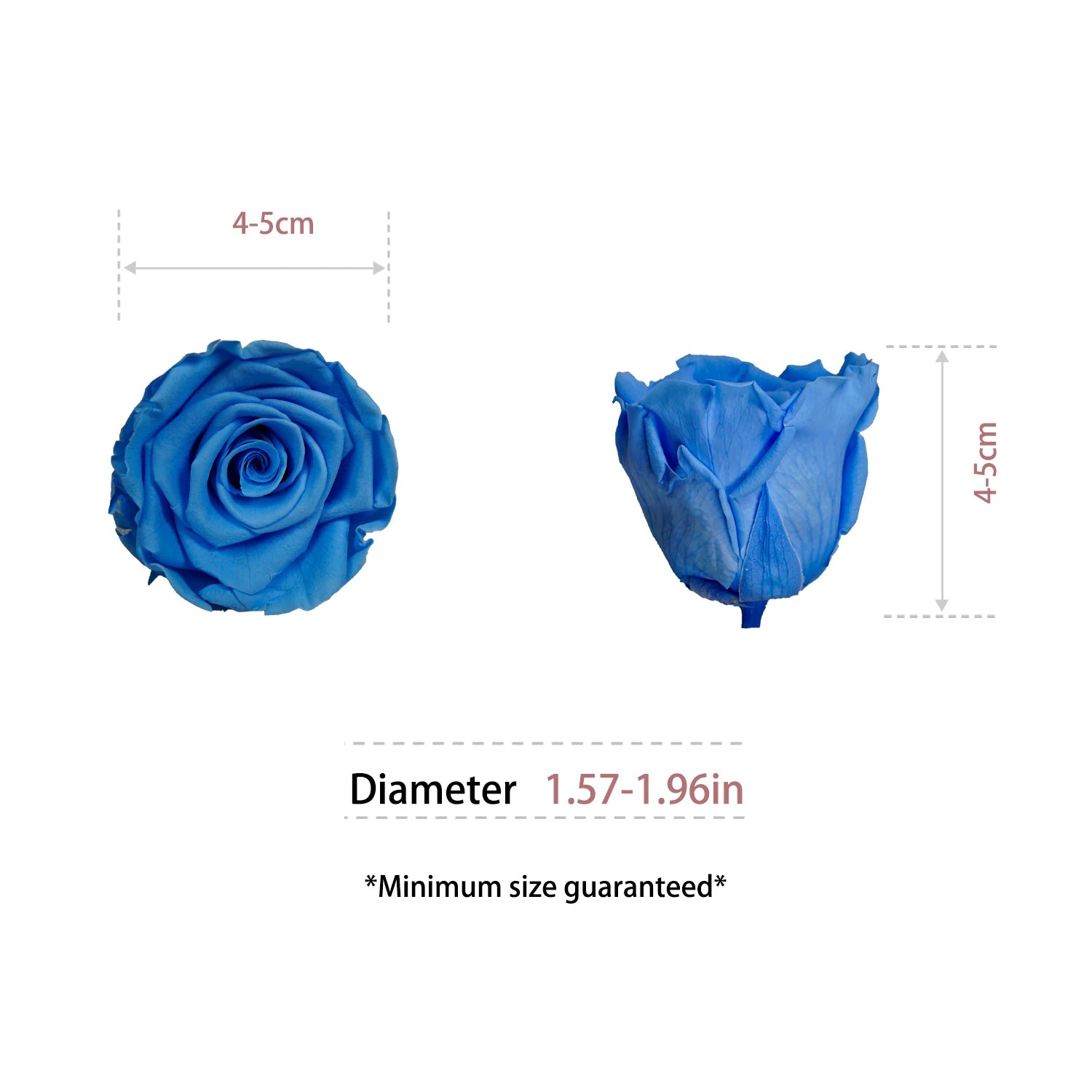 Infinity Long Lasting Dried Forever Eternal Flower Buds Preserved Roses Head for Flower Decoration