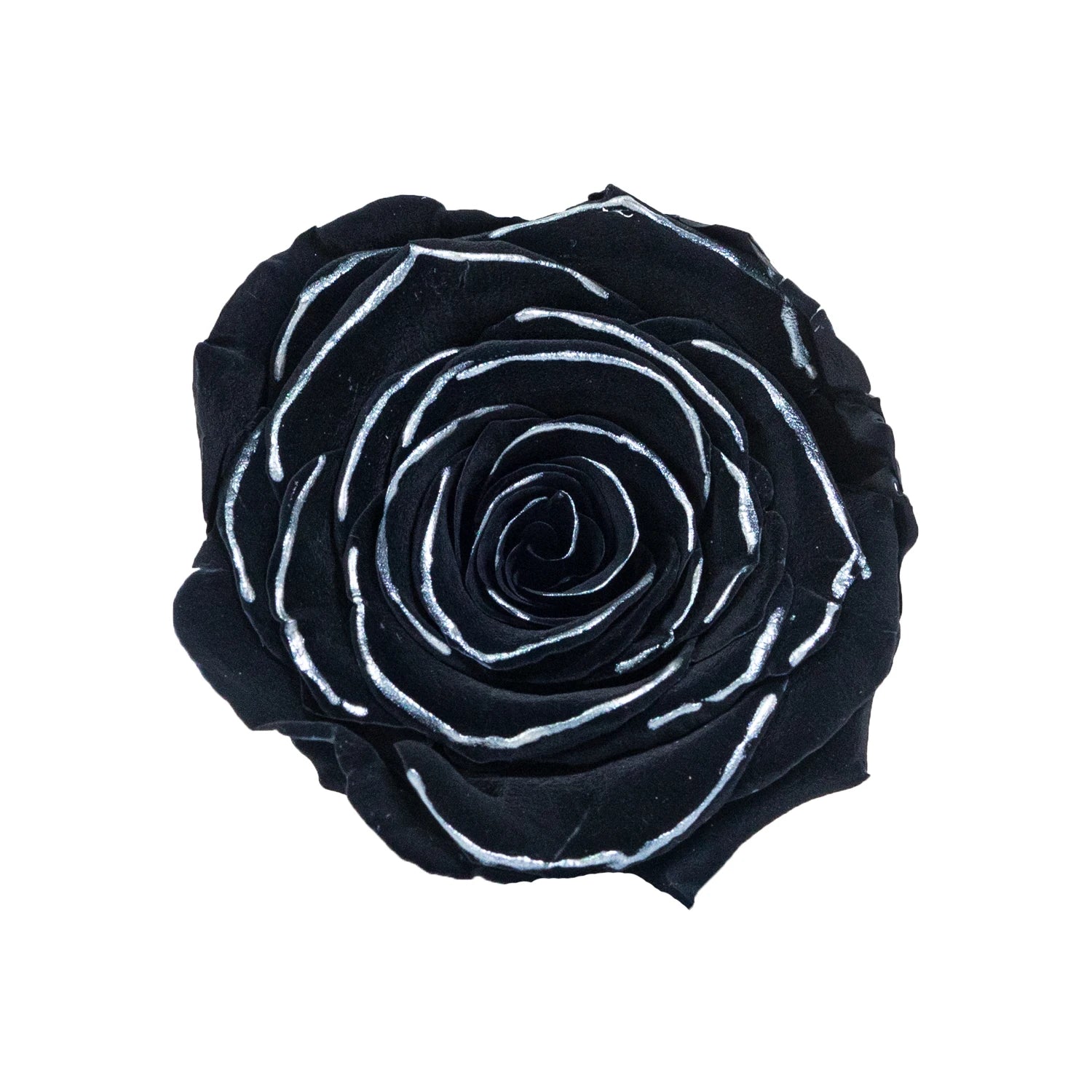 Hot Selling Everlasting Rose Flower Preserved Rose Head Silver Gold Rose Preserved Forever Flower Head