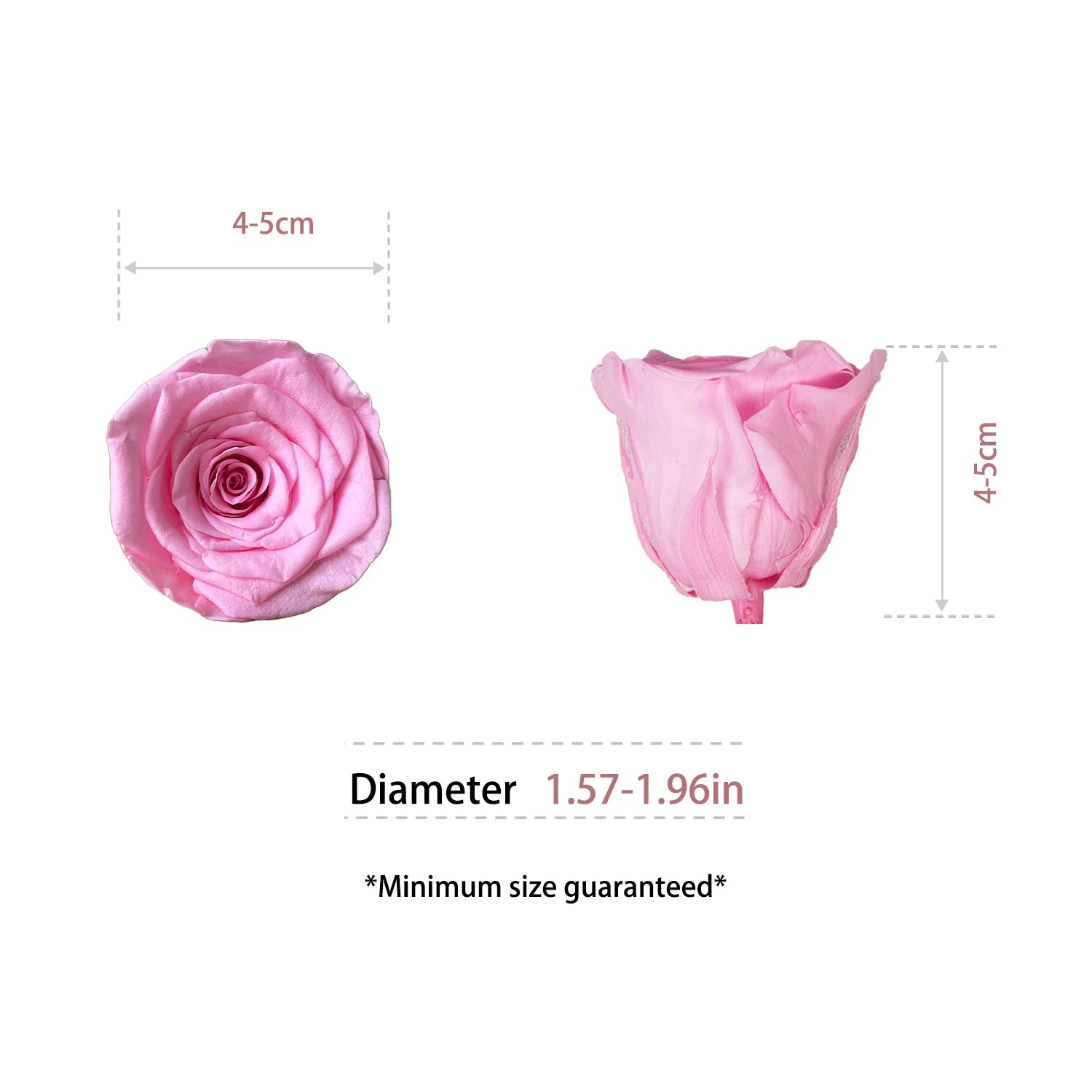 Factory Wholesale Preserved Flowers Eternity Roses Eternal Forever Roses Heads 4-5cm Preserved Rose Head