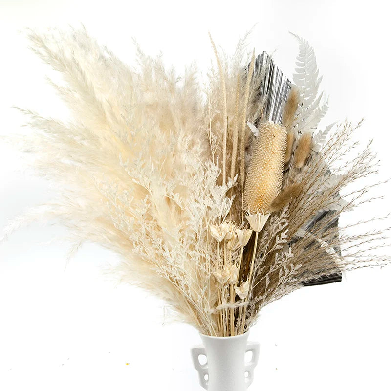 Boho Decor Bunny tails Pampass Dried Flower Arrangements Lagurus Ovatus Tall Pampas Pompas Grass Bouquet